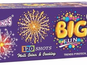 120 Shot Multi-Colour